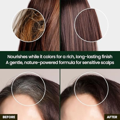 Herb Speedy Color Cream Natural Black – Korean Herbal Vegan Hair Dye, PPD-Free, Ammonia-Free, Hypoallergenic, Odorless, 100% Gray Coverage, Quick 20-Minute Application Avelisse