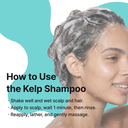 CHUNGMIJUNG Itchy Scalp Shampoo for Sensitive Scalp – Gentle Sulfate Free Seaweed (Kelp) Shampoo with Laminaria Japonica & Mung Bean, Hydrating Korean Hair Care for Dry Hair, 16.9 fl oz / 500ml Avelisse