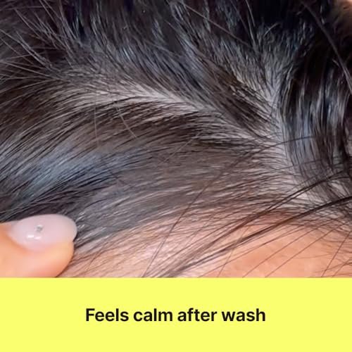 CHUNGMIJUNG Itchy Scalp Shampoo for Sensitive Scalp – Gentle Sulfate Free Seaweed (Kelp) Shampoo with Laminaria Japonica & Mung Bean, Hydrating Korean Hair Care for Dry Hair, 16.9 fl oz / 500ml Avelisse