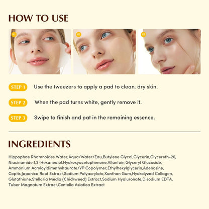 EQQUALBERRY Collagen Glow Up Gel Toner Pads – Brightening Korean Jelly Pad with Deep Absorption Collagen, Hydrating & Glow-Boosting Formula, 140ml / 60 Pads