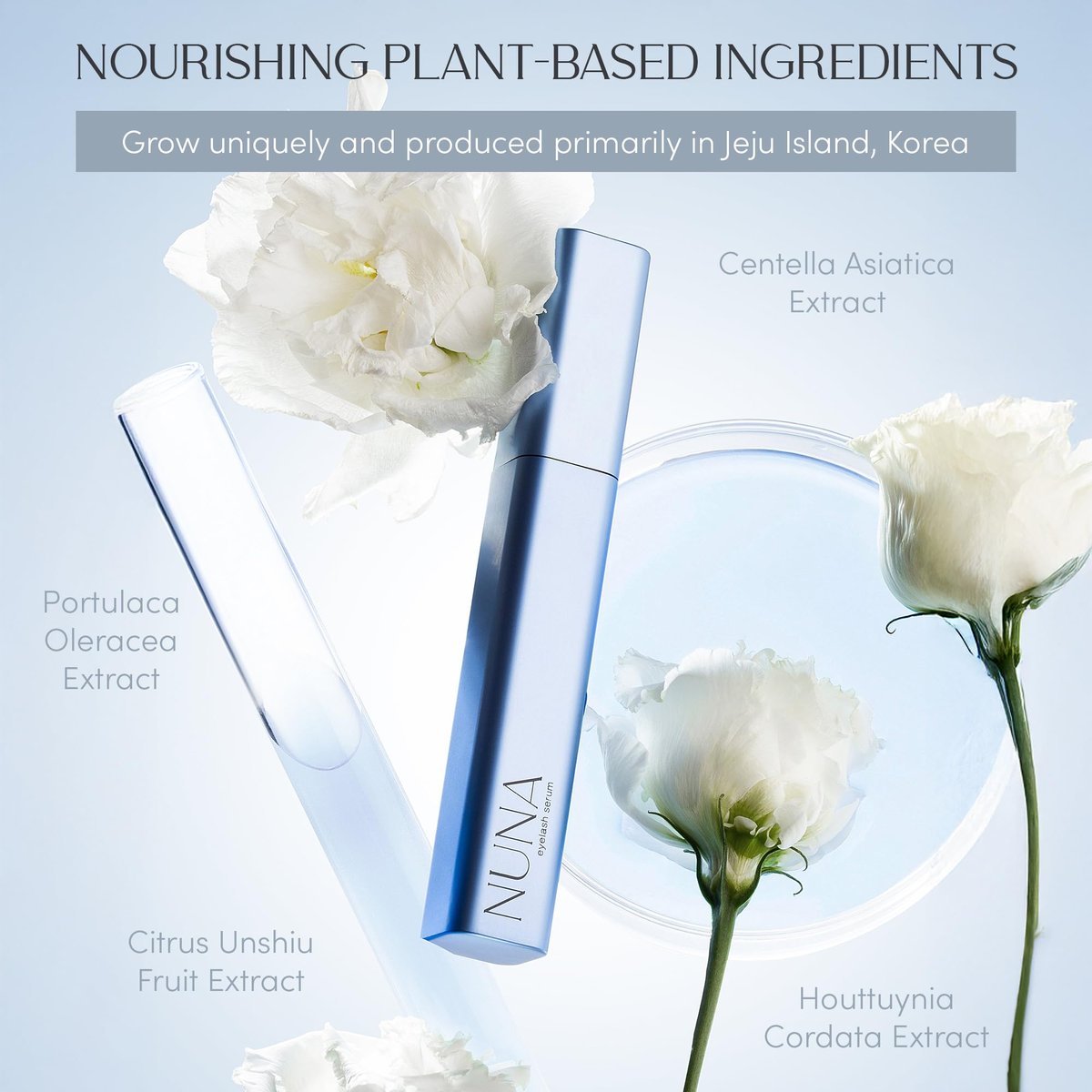 NUNA Eyelash Growth Support Serum 6ml – Lash & Brow Enhancing Serum with Biotin & Korean Multi Peptide – Promotes Fuller, Longer Lashes – 6 Month Supply Avelisse