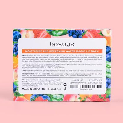 Fruit Flavor Lip Balm 6-Pack – Natural All-Day Moisturizer with Vitamin E & Coconut Oil for Chapped Lips