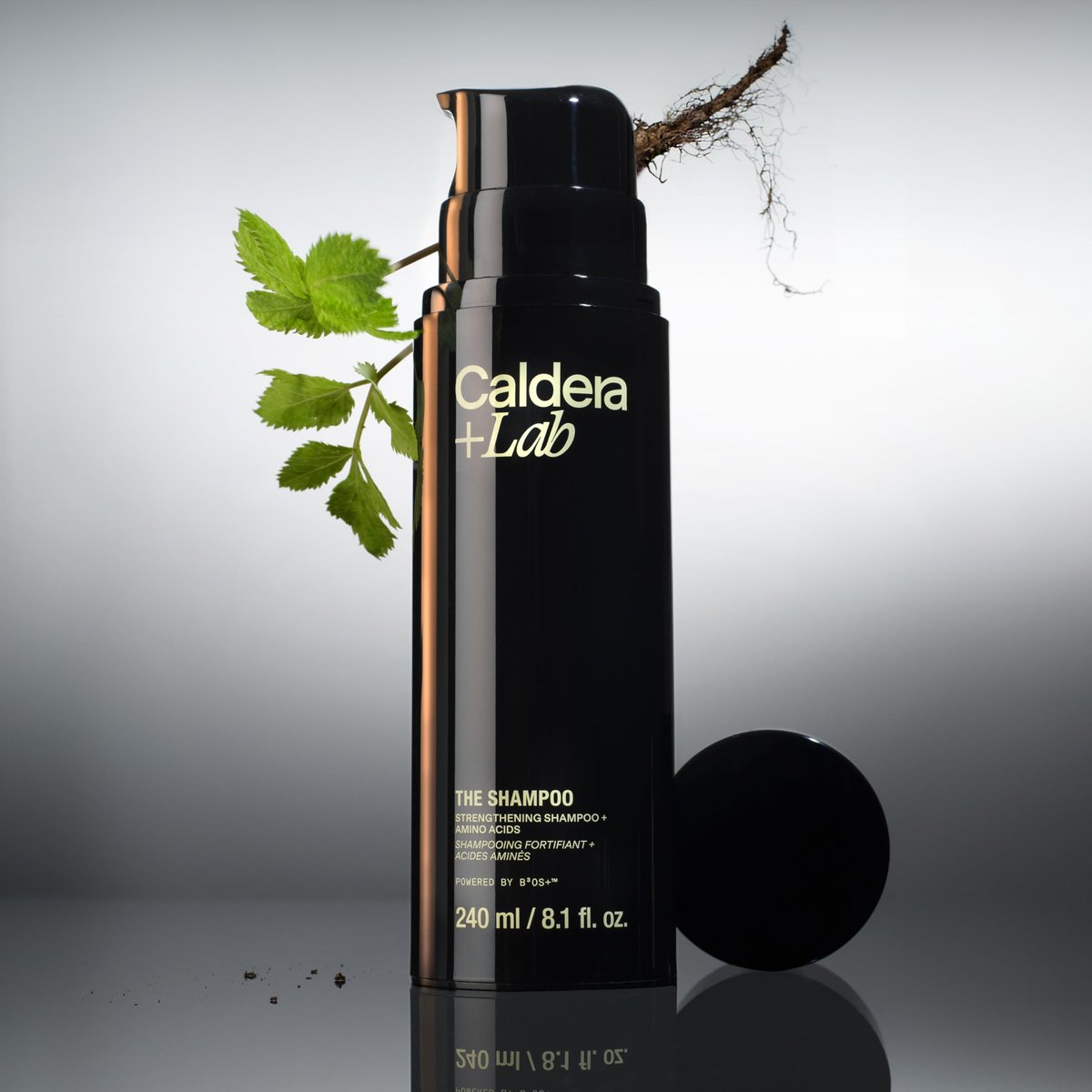 Caldera + Lab The Shampoo | Men’s Sulfate-Free Daily Cleanser for Healthy Hair, Dermatologically Tested - 8.1 fl oz Avelisse