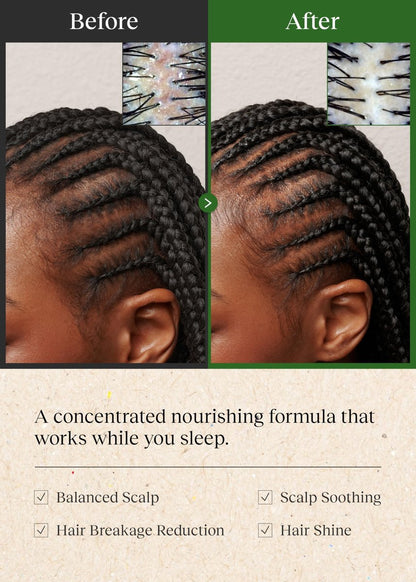 Bephor Braid Rev Scalp Sleeping Oil Balm – Korean Scalp Treatment for Dry Scalp, Balm-to-Oil Formula with Coconut & Shea Butter, Reduces Excess Sebum & Strengthens Hair Roots, 2.65 oz Avelisse