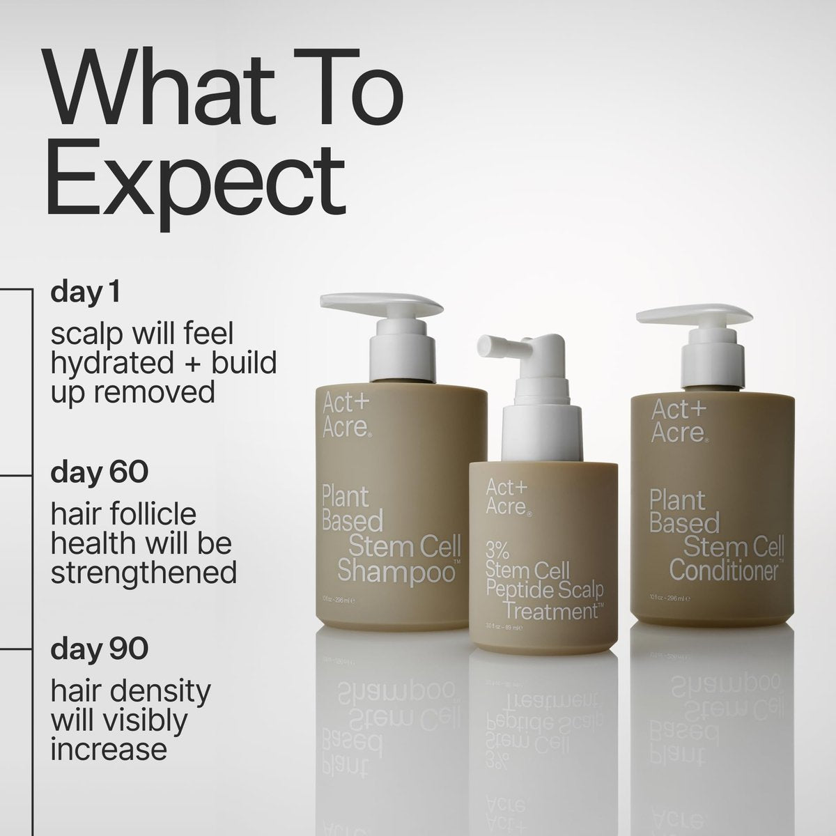 Act+Acre Stem Cell Shampoo – Cold Processed® Scalp & Hair Density Booster with Swiss Apple Stem Cells, Caffeine, Hyaluronic Acid – Vegan, 10 Fl Oz Avelisse