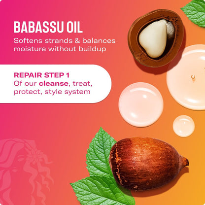 Mielle Organics Babassu & Mint Damage Repair Hair Shampoo - Hydrating Shampoo & Scalp Build-Up Remover - Gently Cleanses & Preps for Repair (8 fl oz) Avelisse