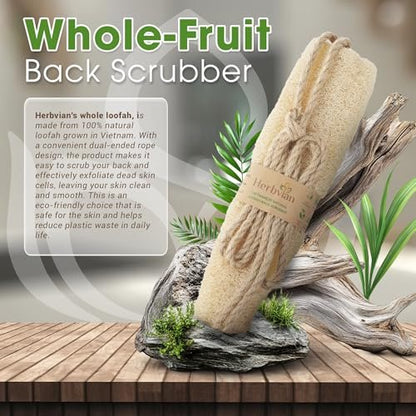 Herbvian Vietnamese Natural Loofah Back Scrubber - 100% Plant-Based Exfoliation Shower Sponge, Handcrafted Whole Loofah Gourd with Jute Fiber Handle, Suitable for Men & Women (1-Pack) Avelisse