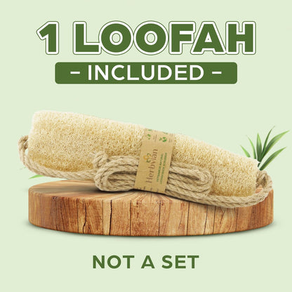 Herbvian Vietnamese Natural Loofah Back Scrubber - 100% Plant-Based Exfoliation Shower Sponge, Handcrafted Whole Loofah Gourd with Jute Fiber Handle, Suitable for Men & Women (1-Pack) Avelisse