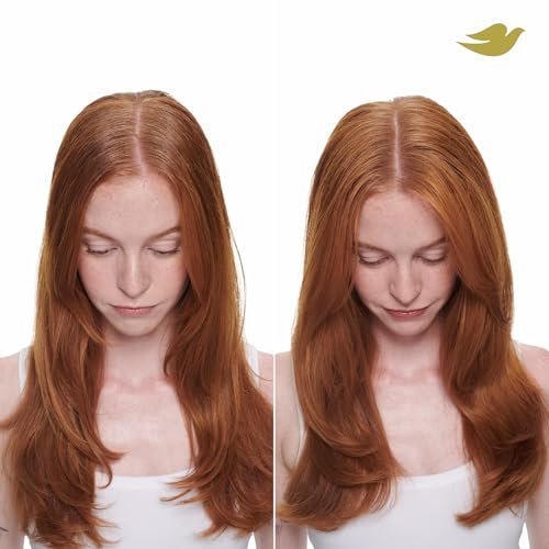 Dove Volume & Fullness Shampoo and Conditioner Set with Advanced Dry Shampoo – 3 Piece Hair Care Kit for Thin, Flat, Dry, Damaged Hair Avelisse