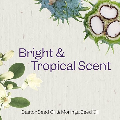 Renpure Castor Oil & Moringa Shampoo and Conditioner Set - Curl Enhancing, Moisturizing, Frizz-Free for Wavy to Curly Hair - 24 Fl Oz Each, 2 Pack Avelisse