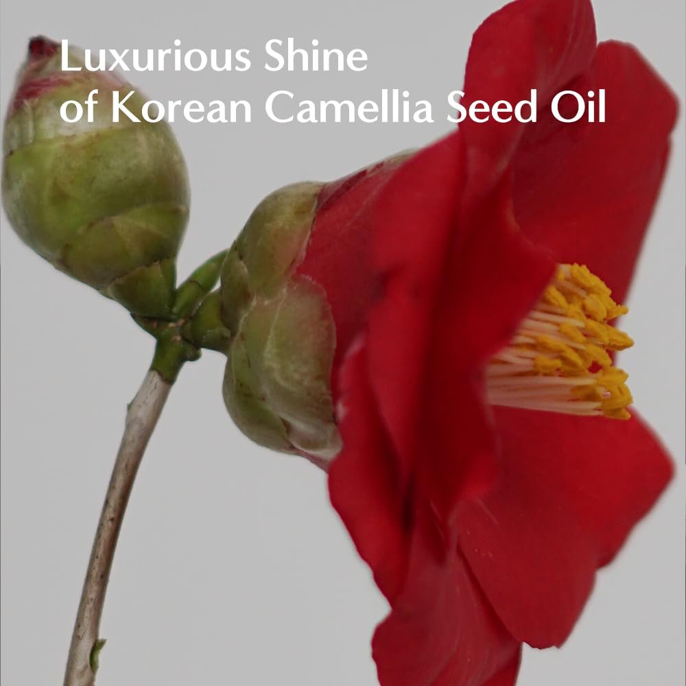 LORINIQUE Korean Keratin Leave In Conditioner 4.06 fl oz – Deep Nourishing Hair Cream with Keratin Pro Booster & Heat Protection, Korean Camellia Oil Avelisse