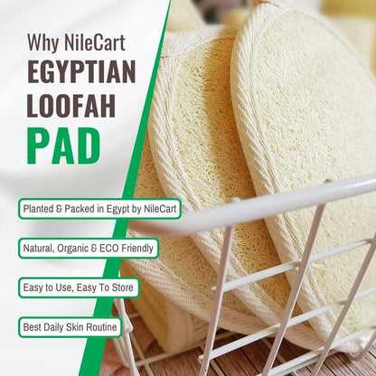 NileCart Loofah Pads - Natural Egyptian Luffa Sponges for Body Exfoliation, Pack of 2