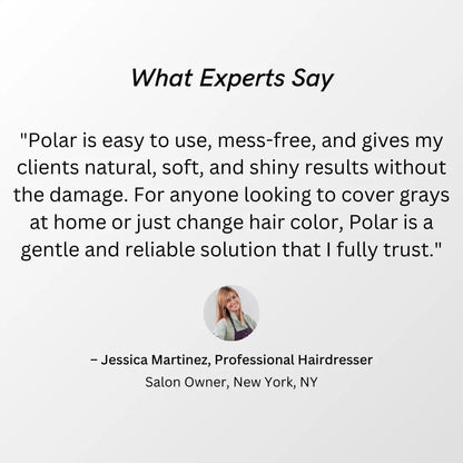 POLAR HAIR CARE Hair Dye Shampoo for Gray Hair – Jet Black, Semi-Permanent, Vegan, 6.76 Fl Oz Avelisse