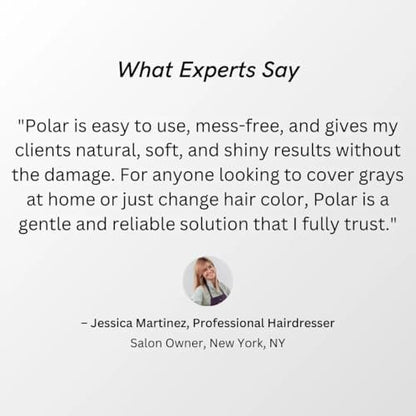POLAR HAIR CARE Hair Dye Shampoo for Gray Hair – Jet Black, Semi-Permanent, Vegan, 6.76 Fl Oz Avelisse