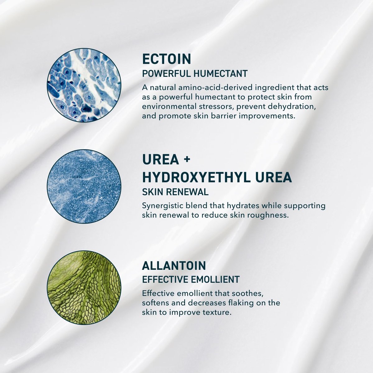 Prequel Reactive Skin Solutions Soothing Hydrating Face Moisturizer for Sensitive Skin - Barrier Support Cream with 5% Ectoin, Urea, and Allantoin for Extreme Dryness, Calming and Renewal, 1 oz Avelisse