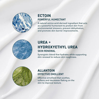 Prequel Reactive Skin Solutions Soothing Hydrating Face Moisturizer for Sensitive Skin - Barrier Support Cream with 5% Ectoin, Urea, and Allantoin for Extreme Dryness, Calming and Renewal, 1 oz Avelisse