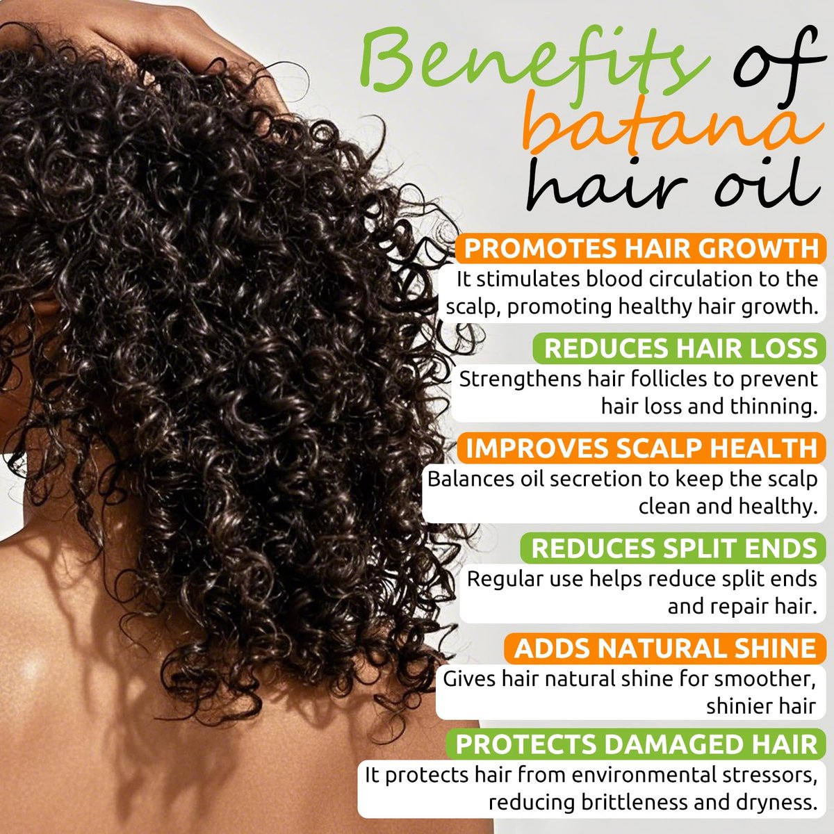 AKBAN Hair Growth Oil – 100% Pure Batana, Castor, Rosemary & Pumpkin Seed Oils with Biotin, Keratin & Vitamin E – Strengthening & Thickening Treatment for Healthy Hair – 4 FL OZ Avelisse