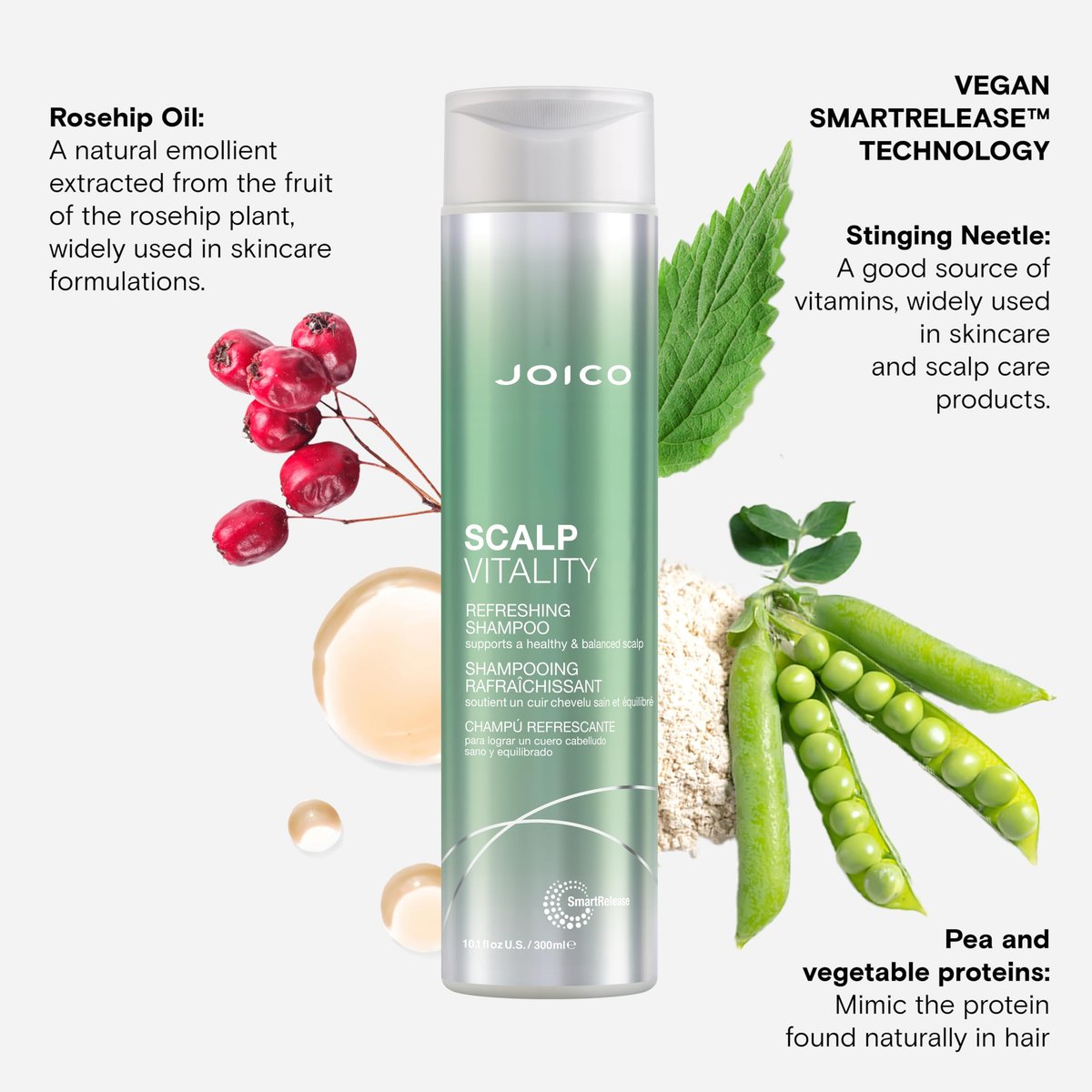 Joico Scalp Vitality Refreshing Shampoo – Soothe Dry, Oily & Itchy Scalp – Removes Flakes & Reduces Irritation – 10.1 fl oz Avelisse