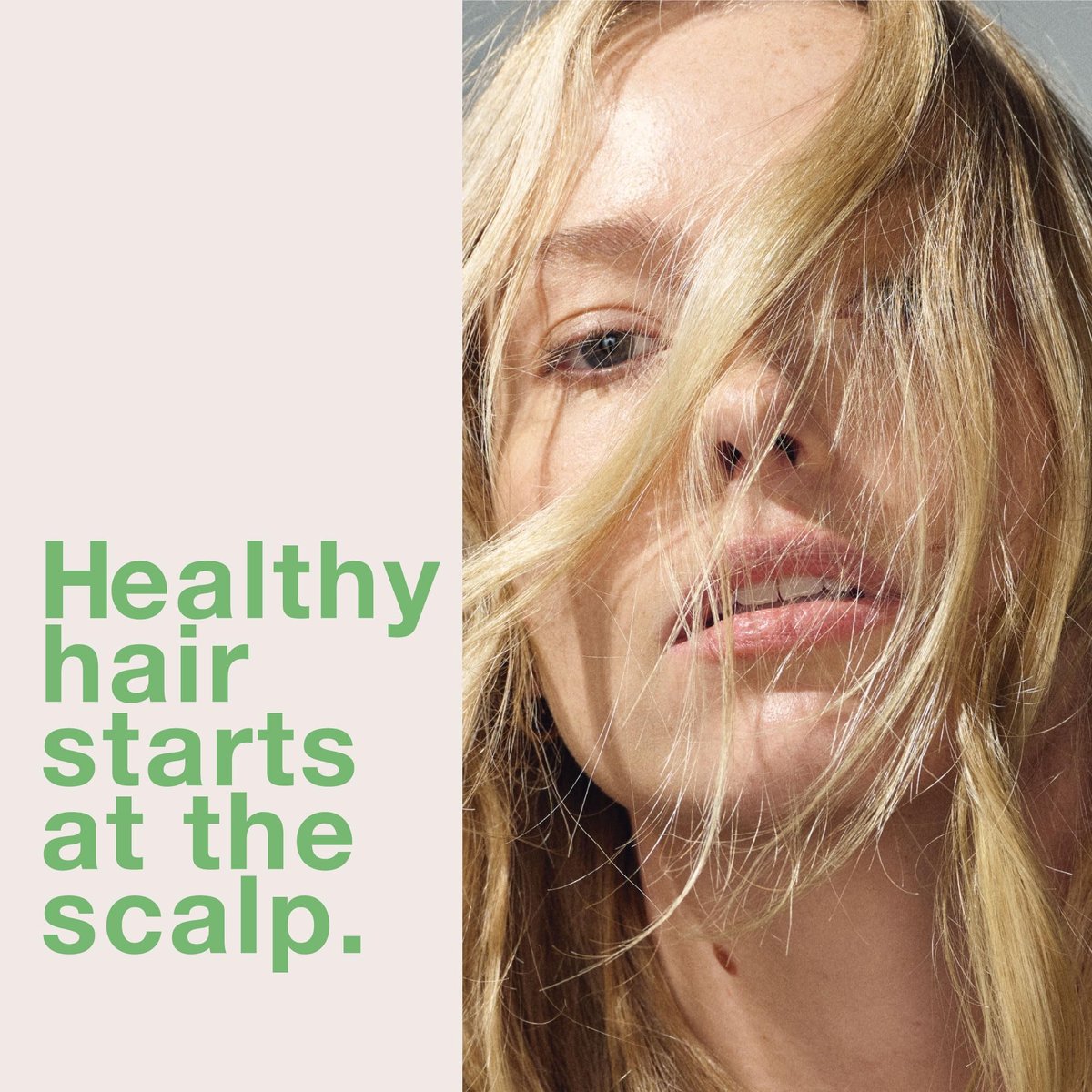 mumms Scalp Serum – Hair Growth Treatment with Saw Palmetto & Ginger Root, 2 fl oz, Daily Use for Thicker, Fuller Hair Avelisse
