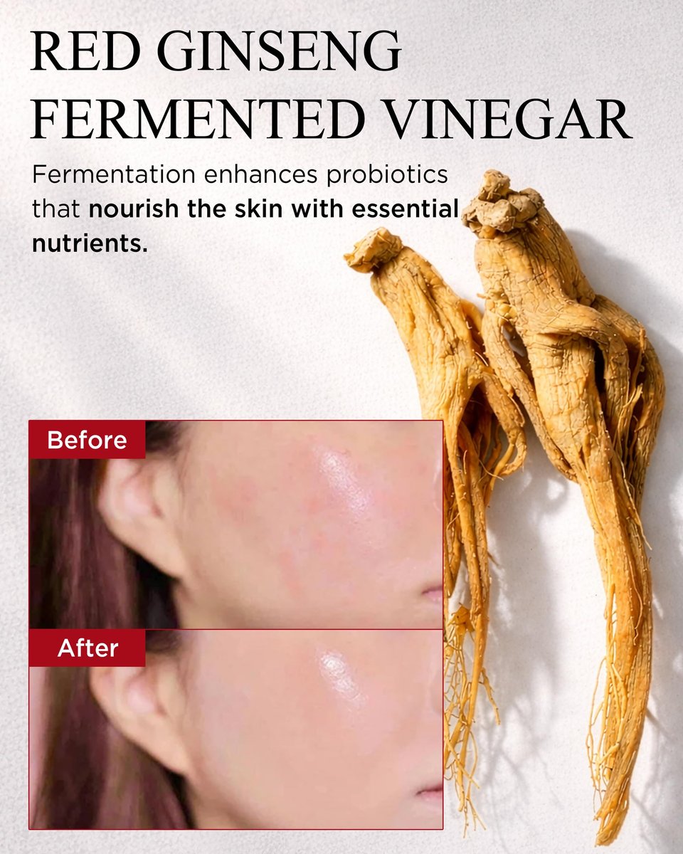 DANAHAN Bonyongo Red Ginseng Vinegar Toner – Rich Essence Toner for Dry & Mature Skin | 6-Year Fermented Ginseng for Anti-Aging & pH Balance | Korean Hanbang Skincare, 5.07 fl oz Avelisse