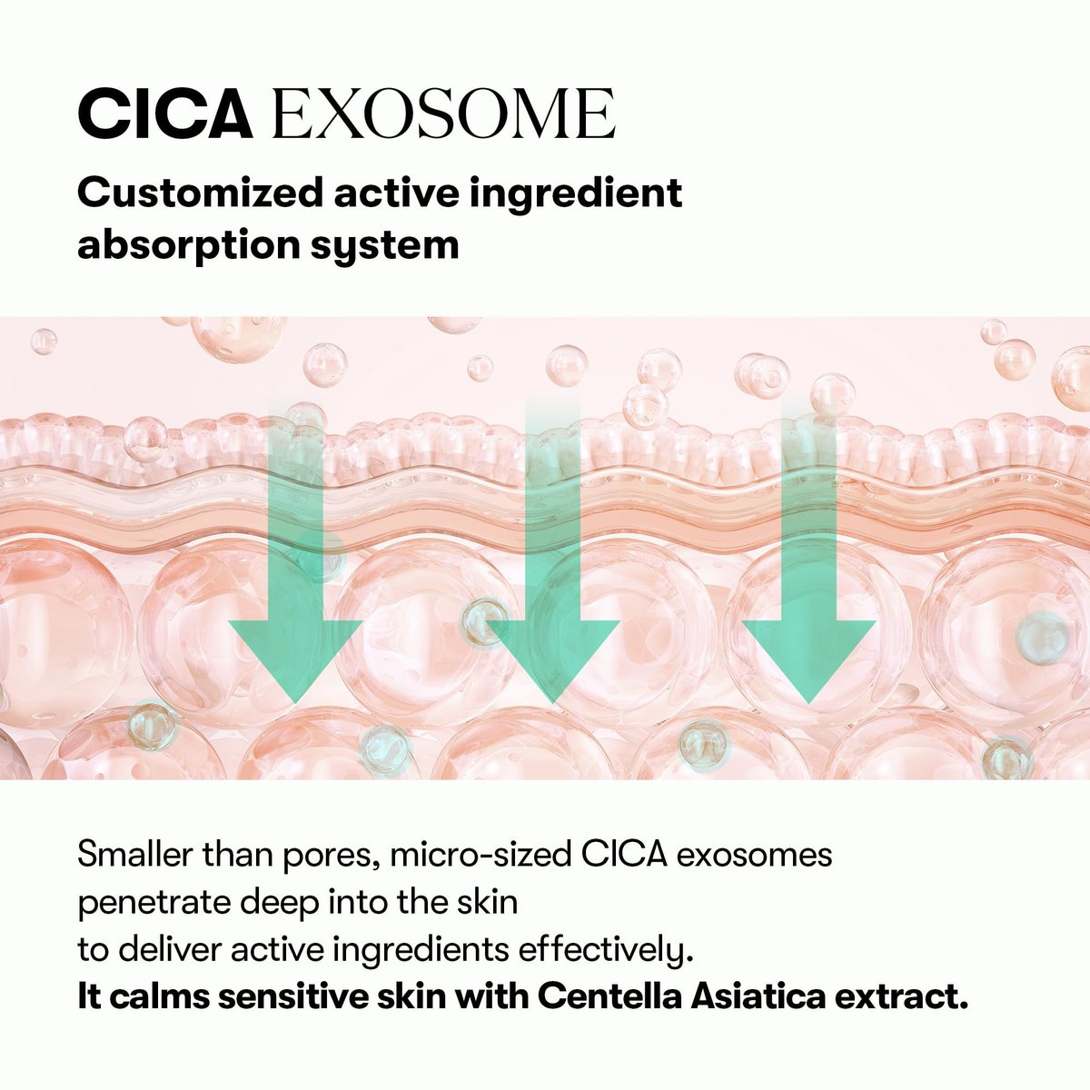VT COSMETICS PDRN Cica Exosome Ampoule - Firming Serum with Peptide & Ceramide for Anti-Aging, Wrinkle Care, Plumping, Hydration & Radiant Glow - Korean Skincare (1.01 fl. oz.) Avelisse