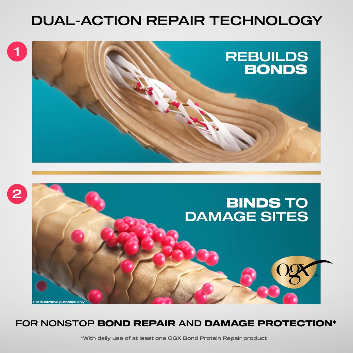 OGX Repair & Protect Bond Protein Repair Haircare Set - Lightweight Shampoo, Conditioner & 450°F Heat Protect Spray for Damaged Hair, 3 Items Avelisse