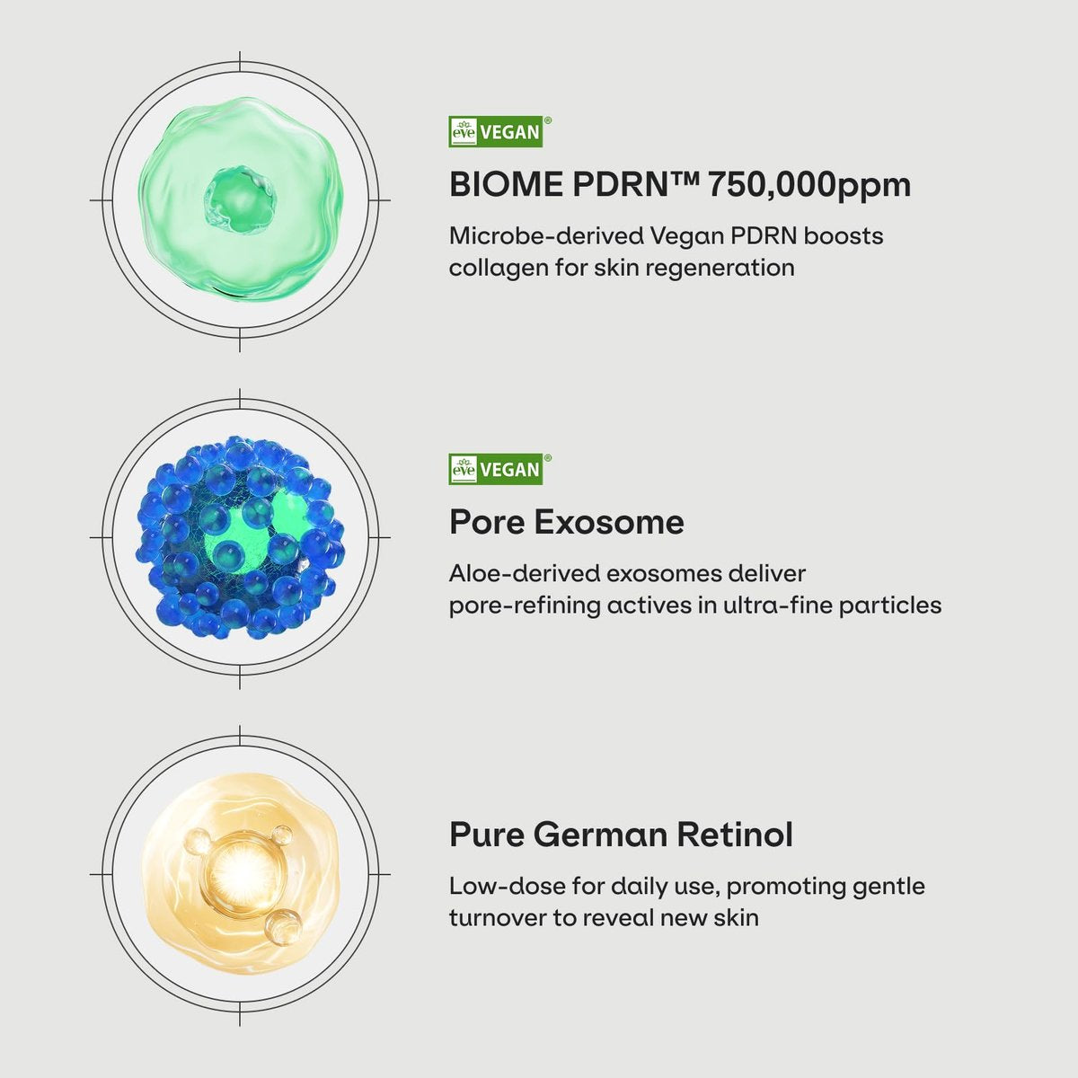 Dr.nineteen PoreXsome ReDRN Exosome Ampoule – Biome PDRN 750,000ppm + Retinol + Exosome Face Serum for Pore Tightening & Firming | Korean Skin Care (0.50 fl.oz. x 2) - görsel 5