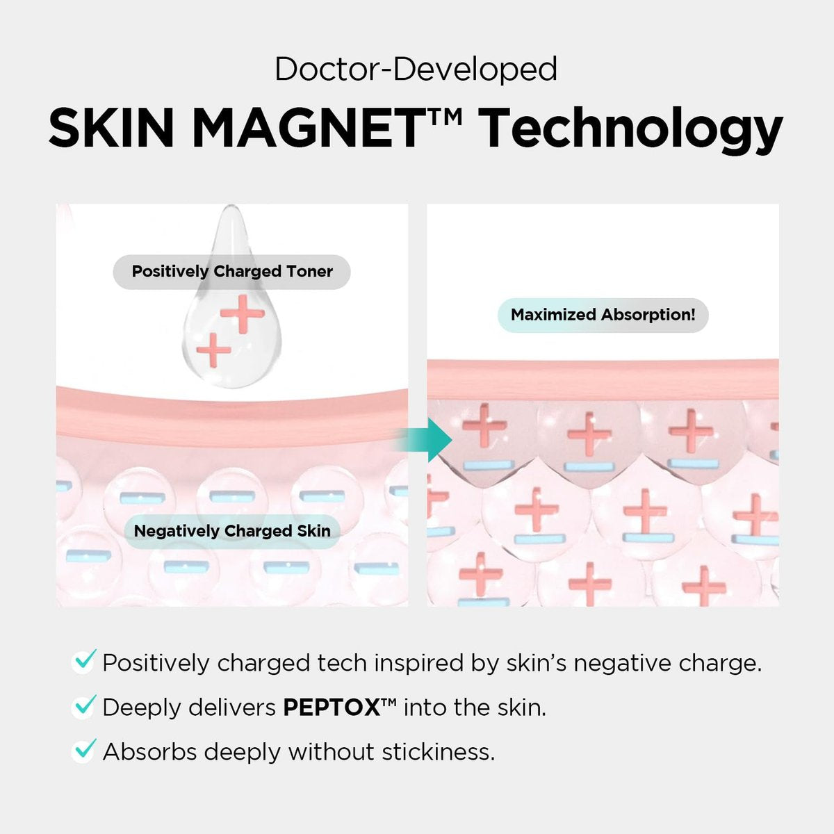 Dr.nineteen PoreXsome V.Peptox Jelly Toner - 13 Peptides 25,000ppm + 10 Hyaluronic Acid + Exosome - Pore Tightening & Cooling Essence Toner - K-Skincare (5.07 fl.oz.) Avelisse
