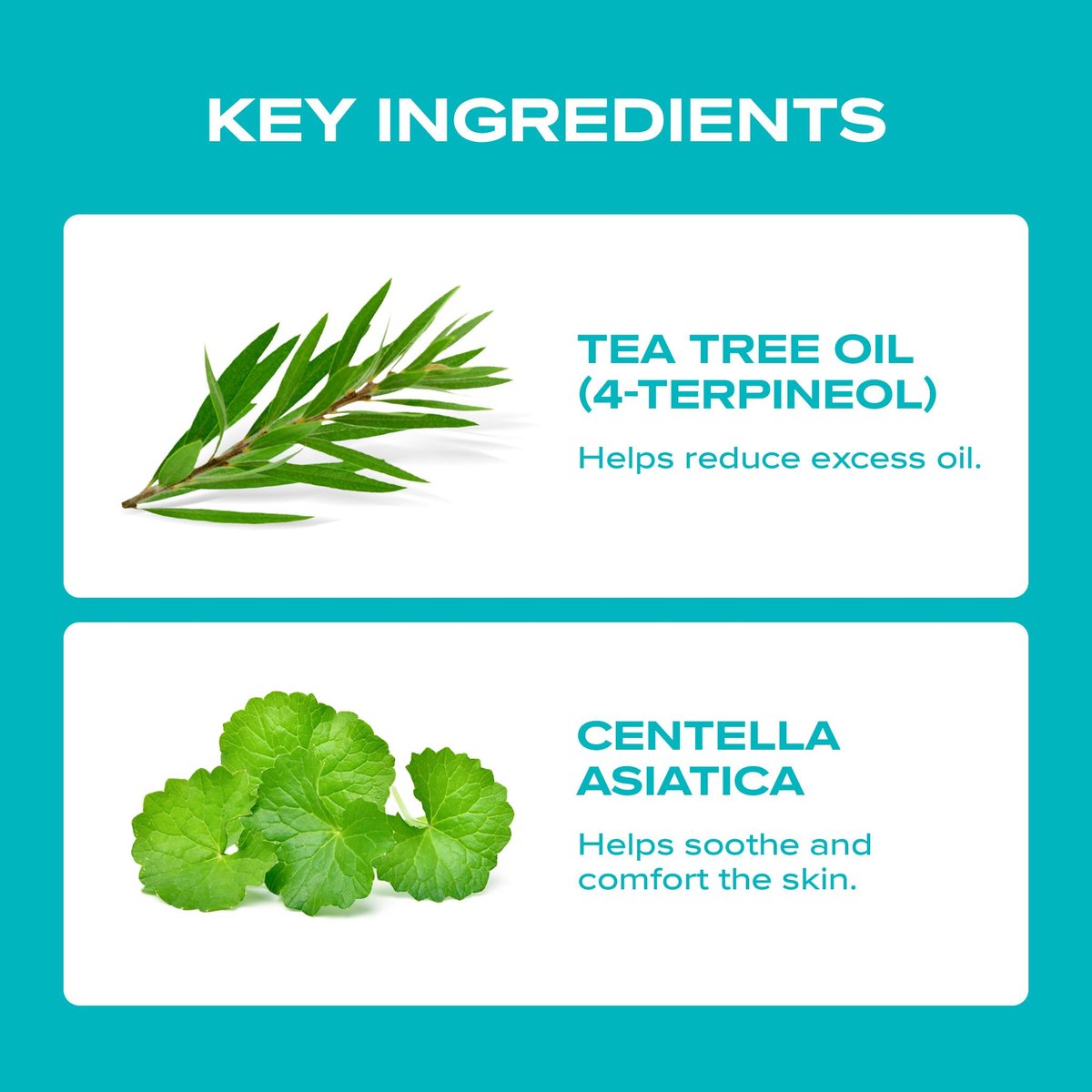 BLANC NATURE Magic Tea Tree Oil Spot Care for Face - Clarifying Facial Oil for Oily & Sensitive Skin, Lightweight & Fast Absorption, Vegan Korean Skincare, 0.68 fl oz (20ml) Avelisse
