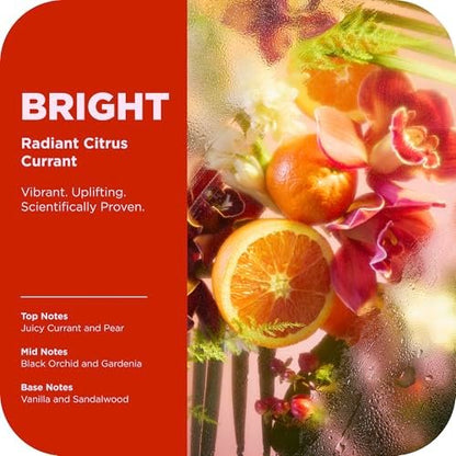 OLLY Bright Body Wash with Ginseng, Caffeine & Vitamin C – Nourishing Cleanser for Skin Barrier Repair, Deep Hydration, Citrus Currant Scent, 17 oz