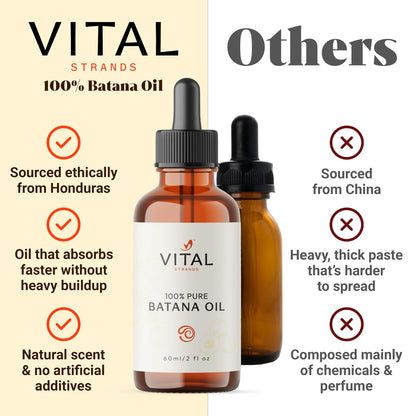Vital Strands Batana Oil for Hair Growth – 100% Pure & Organic Botana Oil from Honduras – Strengthens, Thickens & Restores Natural Hair – Cold Pressed Raw Scalp & Hair Treatment for Men & Women – 60ml Avelisse