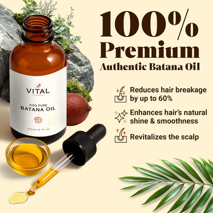 Vital Strands Batana Oil for Hair Growth – 100% Pure & Organic Botana Oil from Honduras – Strengthens, Thickens & Restores Natural Hair – Cold Pressed Raw Scalp & Hair Treatment for Men & Women – 60ml Avelisse