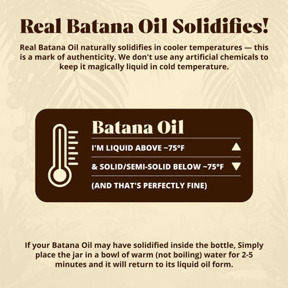 Vital Strands Batana Oil for Hair Growth – 100% Pure & Organic Botana Oil from Honduras – Strengthens, Thickens & Restores Natural Hair – Cold Pressed Raw Scalp & Hair Treatment for Men & Women – 60ml Avelisse