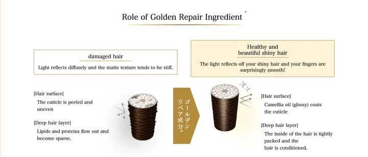 Tsubaki Premium EX Intensive Repair Shampoo and Conditioner Set - 400ml + 400g Avelisse