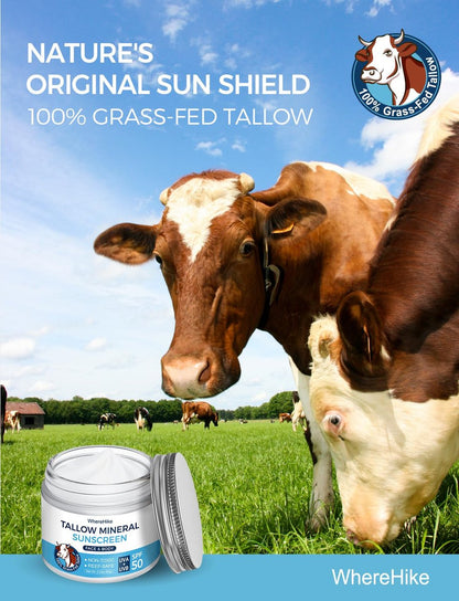 Stilip Organic Beef Tallow Sunscreen SPF 50 - Non-Toxic Zinc Oxide Mineral Sunblock, 2-in-1 Moisturizer & Sunscreen, Reef Safe, Chemical-Free, Lightweight for Sensitive Skin (2.12 oz) Avelisse