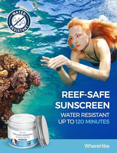 Stilip Organic Beef Tallow Sunscreen SPF 50 - Non-Toxic Zinc Oxide Mineral Sunblock, 2-in-1 Moisturizer & Sunscreen, Reef Safe, Chemical-Free, Lightweight for Sensitive Skin (2.12 oz) Avelisse