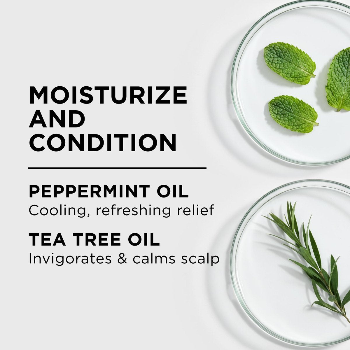 Style Factor LockBOOSTER Scalp Moisturizing Oil – Lightweight Hydration with Peppermint & Tea Tree Oil for Revitalizing Braids, Locs & Twists – Soothes, Nourishes and Supports Scalp Care – 4 oz Avelisse