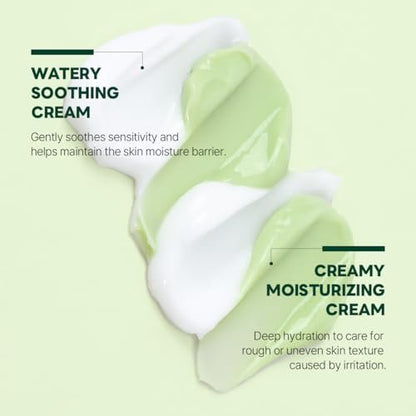 ROUND LAB Pine Cica Calming Cream Plus 60ml – Dual-Texture Soothing Moisturizer for Acne-Prone Skin, Sebum & Oil Control, Barrier Strengthening Avelisse