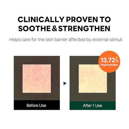 ROUND LAB Pine Cica Calming Cream Plus 60ml – Dual-Texture Soothing Moisturizer for Acne-Prone Skin, Sebum & Oil Control, Barrier Strengthening Avelisse