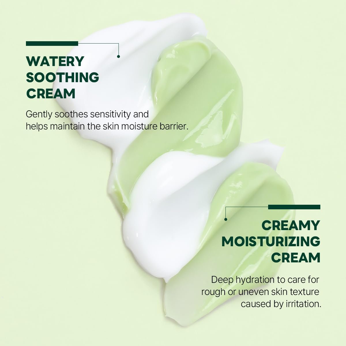 ROUND LAB Pine Cica Calming Cream Plus 60ml – Dual-Texture Soothing Moisturizer for Acne-Prone Skin, Sebum & Oil Control, Barrier Strengthening Avelisse