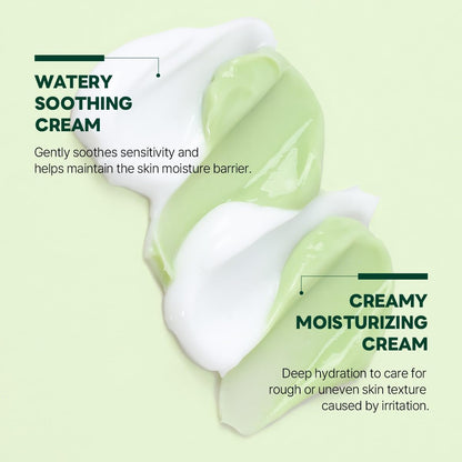 ROUND LAB Pine Cica Calming Cream Plus 60ml – Dual-Texture Soothing Moisturizer for Acne-Prone Skin, Sebum & Oil Control, Barrier Strengthening Avelisse