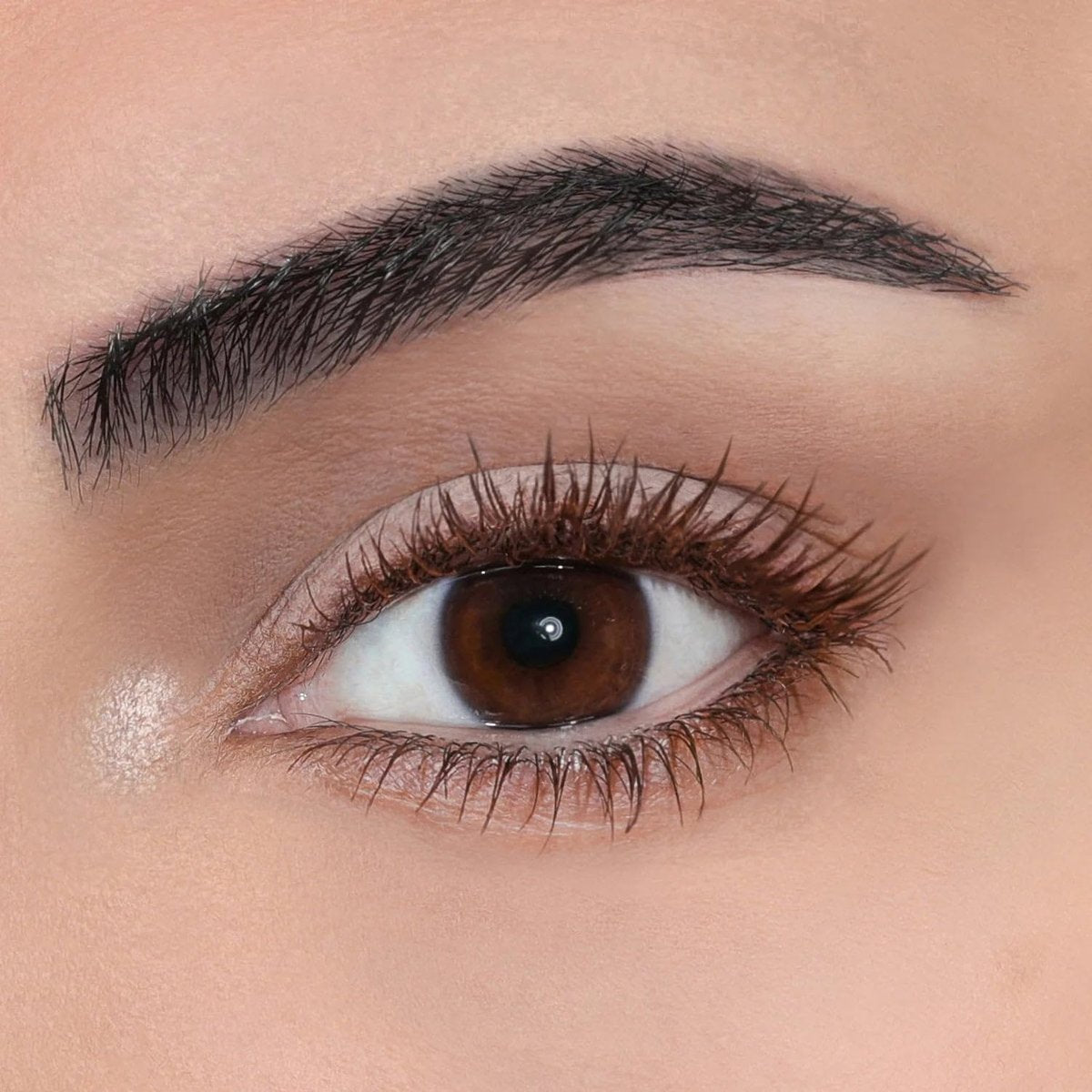 Professional Silicone Mascara - Waterproof Formula, Brown, 1.3g Avelisse
