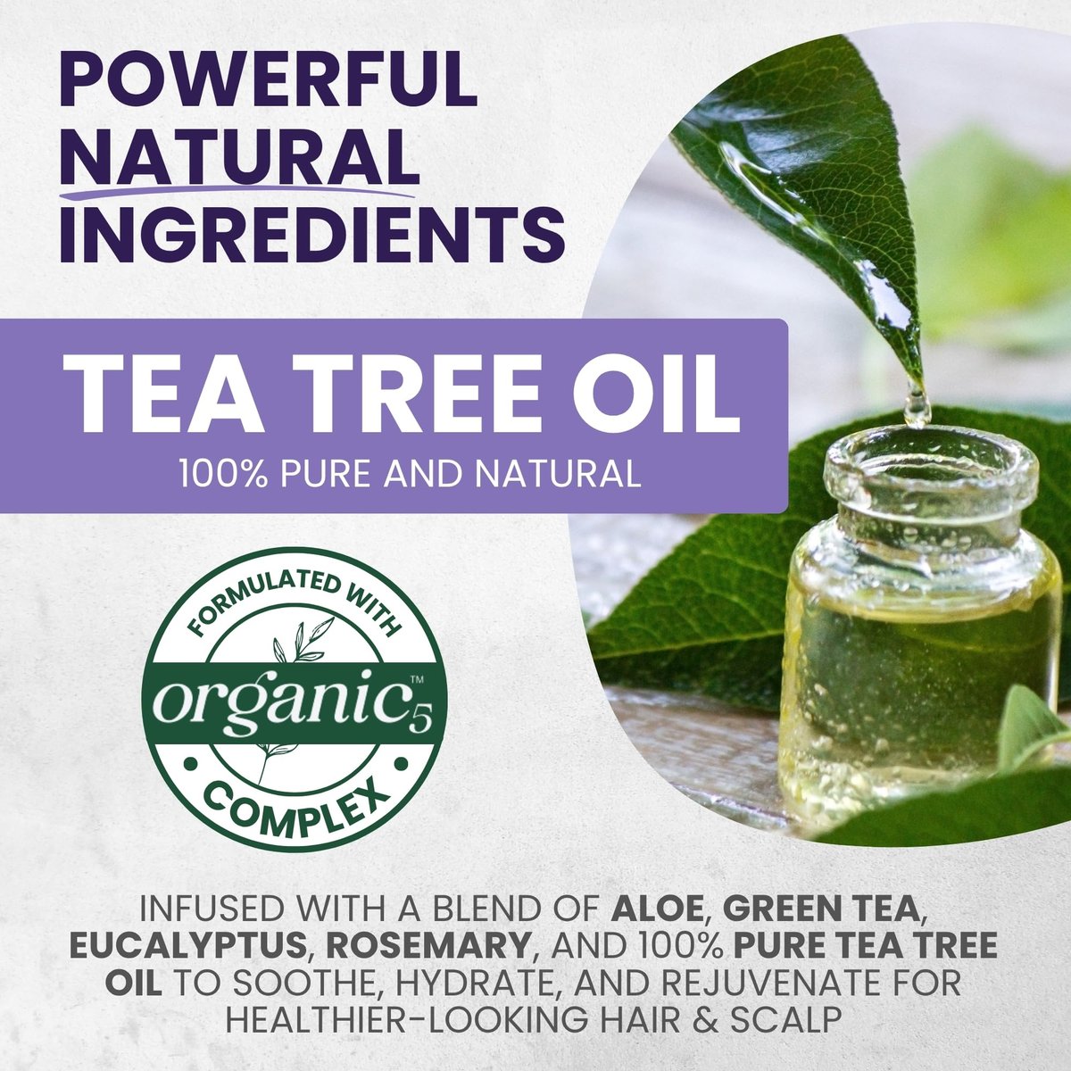 KESMEDIK Tea Tree Purple Conditioner - Anti-Brass Toner for Blonde, Silver & Gray Hair - Softens, Repairs Damaged Hair - Salon-Grade Hair Toner Conditioner, 16 fl oz Avelisse