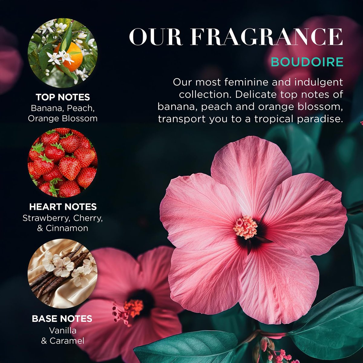 Baylis & Harding Boudoire Tropical Paradise Luxury Pamper Present Gift Set - Vegan Friendly - görsel 7