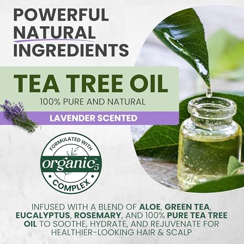 KESMEDIK Tea Tree Lavender Mint Conditioner - Moisturizing Conditioner for Coarse & Dry Damaged Hair, Hydrates & Soothes Itchy Dry Scalp, Detangles & Controls Frizz, 16 fl oz Avelisse