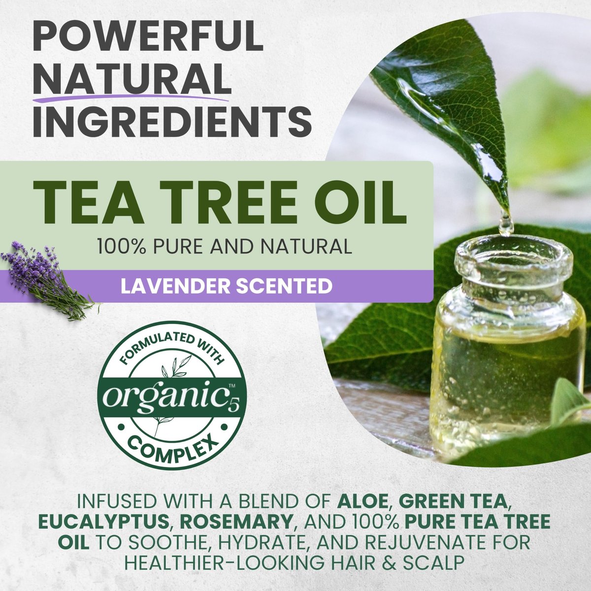 KESMEDIK Tea Tree Lavender Mint Conditioner - Moisturizing Conditioner for Coarse & Dry Damaged Hair, Hydrates & Soothes Itchy Dry Scalp, Detangles & Controls Frizz, 16 fl oz Avelisse