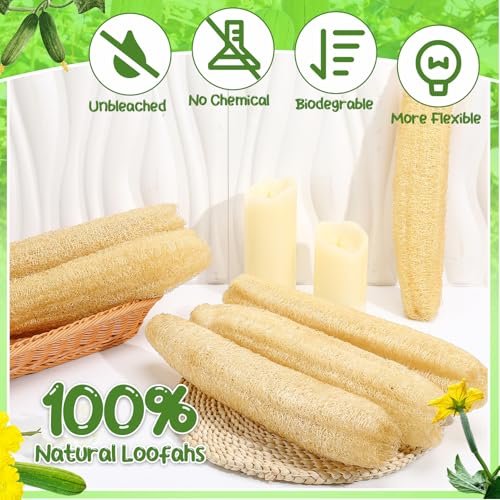 ZhouBoat 6 Pack Natural Loofah Sponge 15.7 Inch - Organic Exfoliating Sponge for Kitchen, Bath & Body Scrub Avelisse
