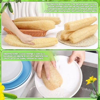 ZhouBoat 6 Pack Natural Loofah Sponge 15.7 Inch - Organic Exfoliating Sponge for Kitchen, Bath & Body Scrub Avelisse