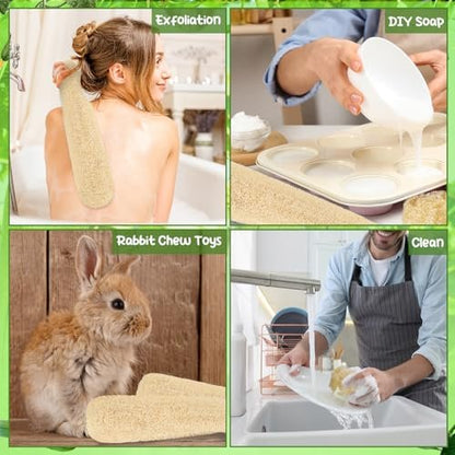 ZhouBoat 6 Pack Natural Loofah Sponge 15.7 Inch - Organic Exfoliating Sponge for Kitchen, Bath & Body Scrub Avelisse