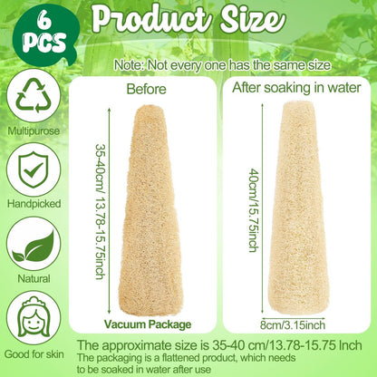 ZhouBoat 6 Pack Natural Loofah Sponge 15.7 Inch - Organic Exfoliating Sponge for Kitchen, Bath & Body Scrub Avelisse